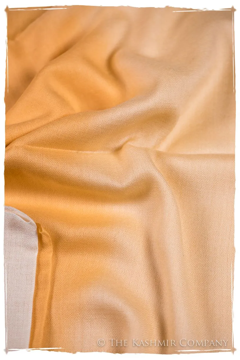 Artisan Glow Harmonieuse Kashmir Wool Scarf