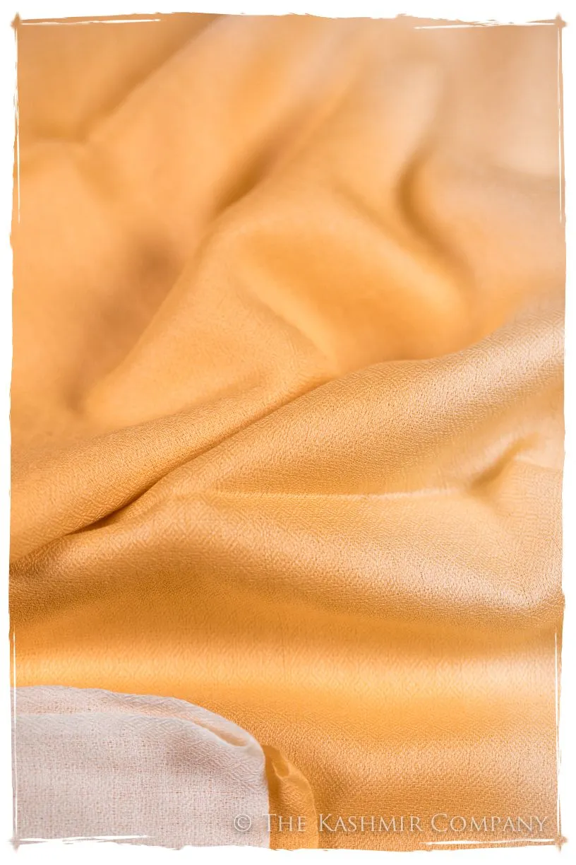 Artisan Glow Harmonieuse Kashmir Wool Scarf