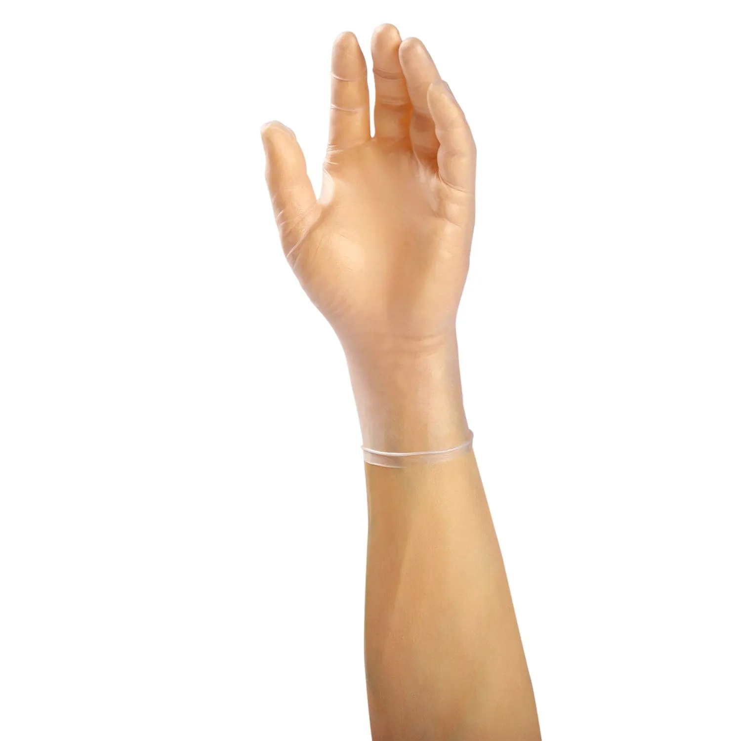 Powder-Free Vinyl Verge Gloves (S-XL), Case of 1,000